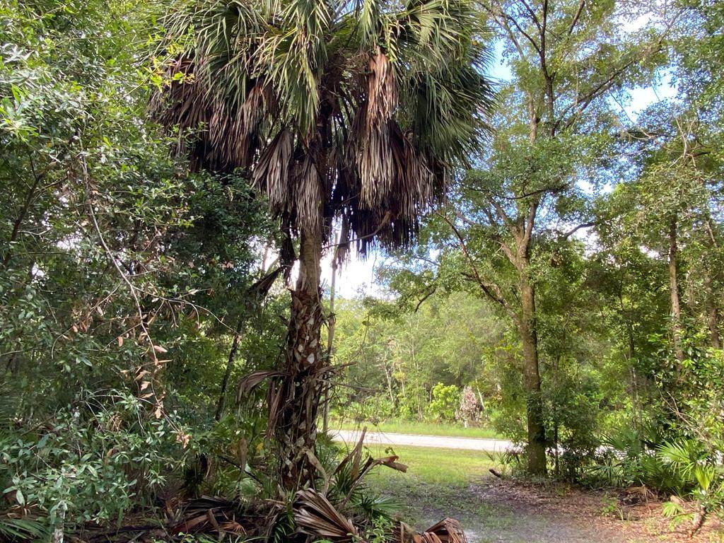 Lot 21 48th Terrace - Photo 1