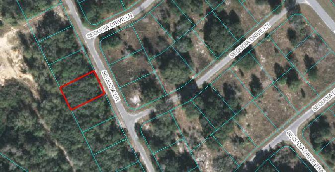 Lot 21 Sequoia Loop Drive - Photo 1