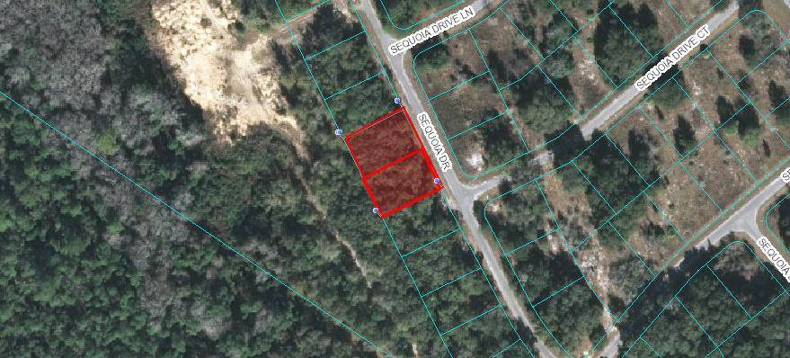 L 20-21 Sequoia Loop Drive - Photo 1