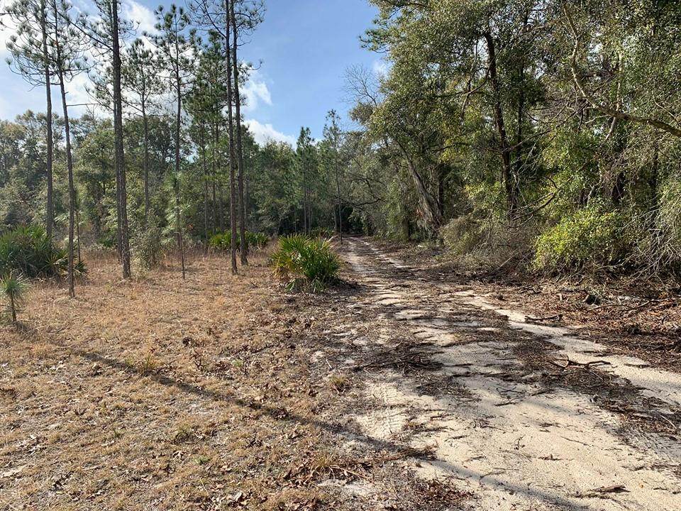 0000 5th Avenue - Photo 1