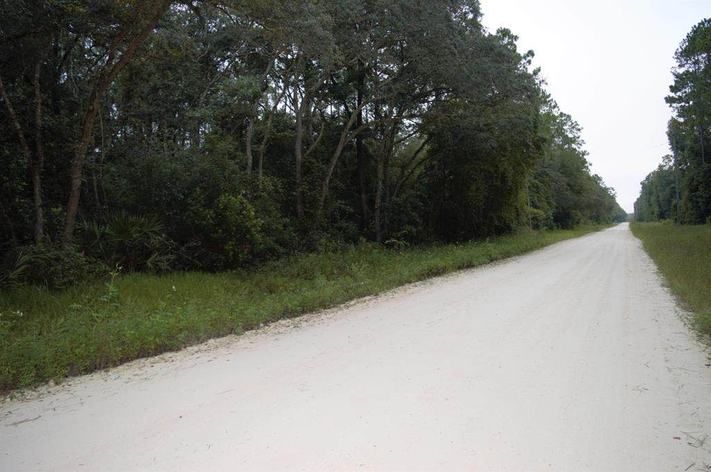 000 796 ST - Photo 1