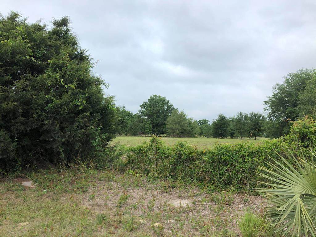 840 484th Ave - Photo 1