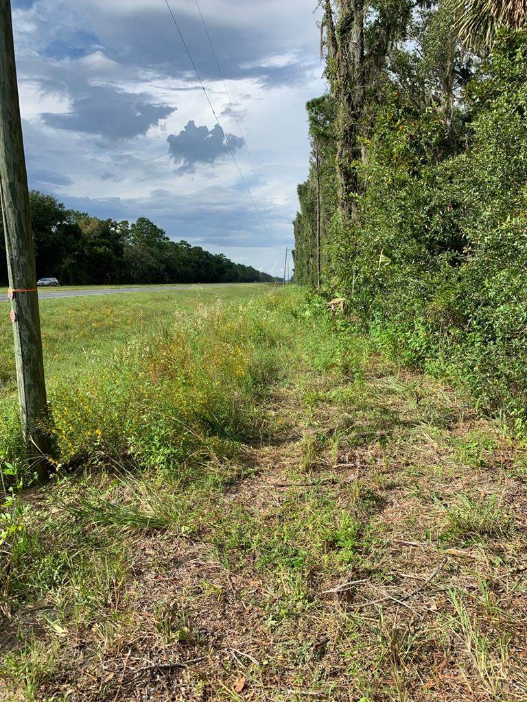 TBD Us Hwy 19 - Photo 1
