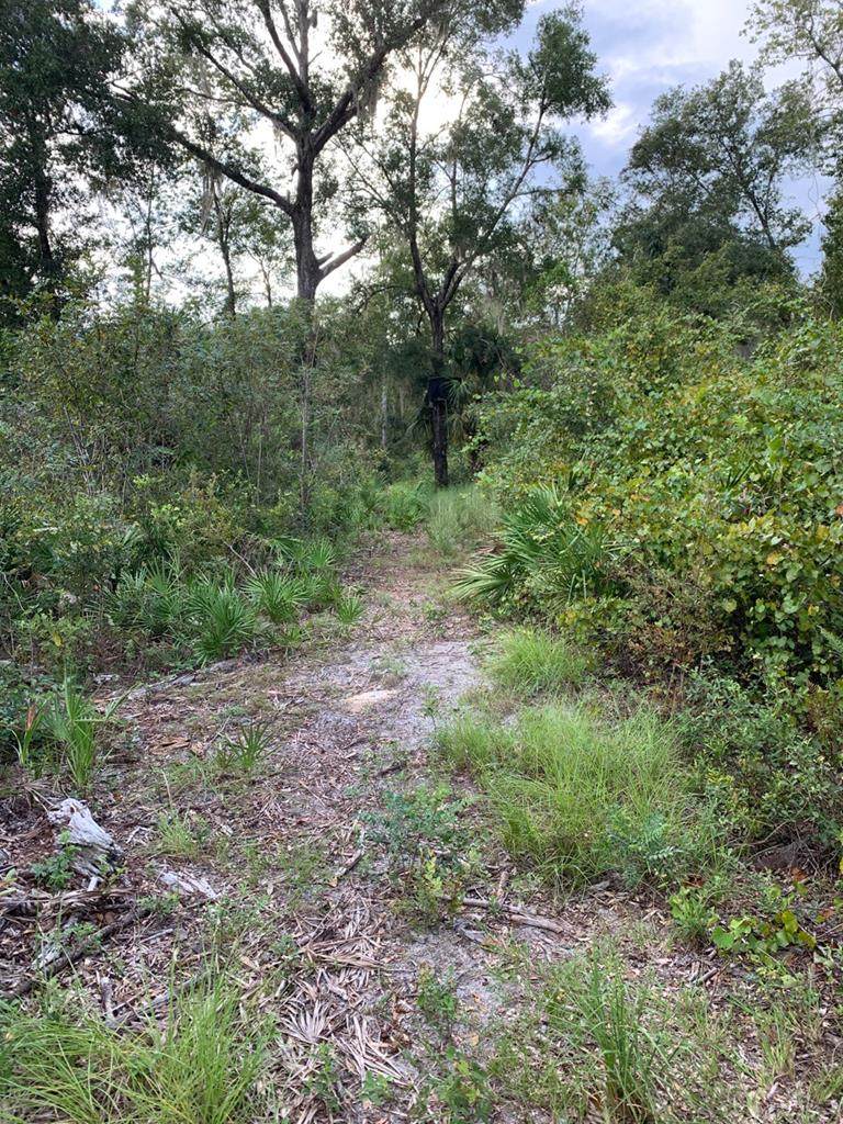 Us Hwy 19 - Photo 1