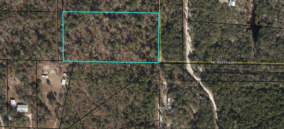 Lot 11 835th St - Photo 1