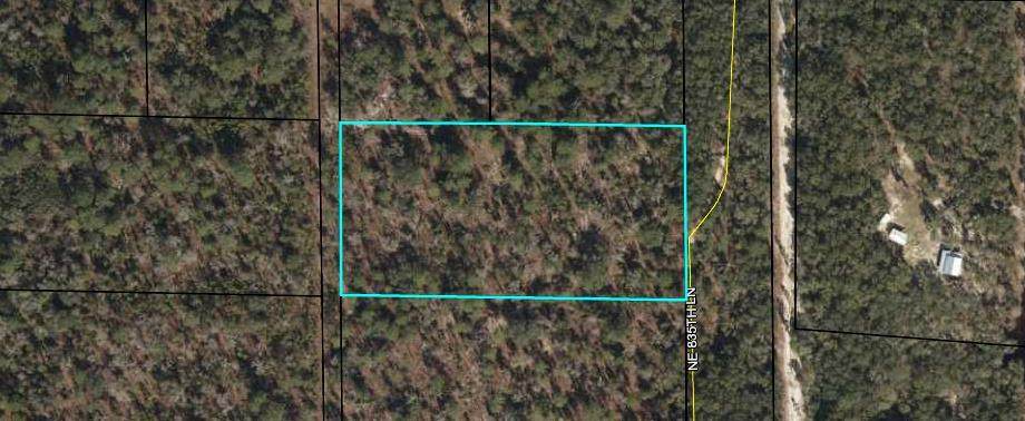 Lot 11 835th St - Photo 1