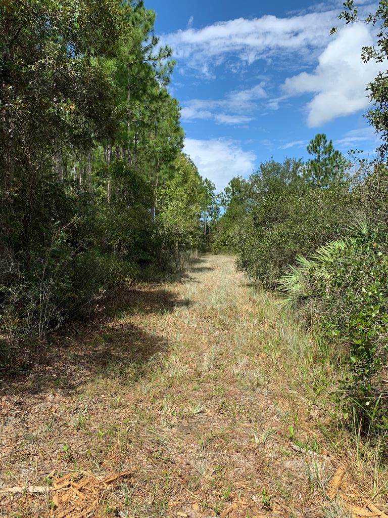 000 661 ST - Photo 1