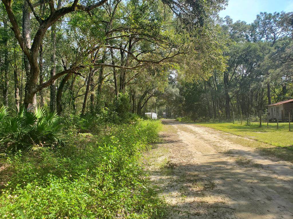 Lot 24 466th Ave - Photo 1