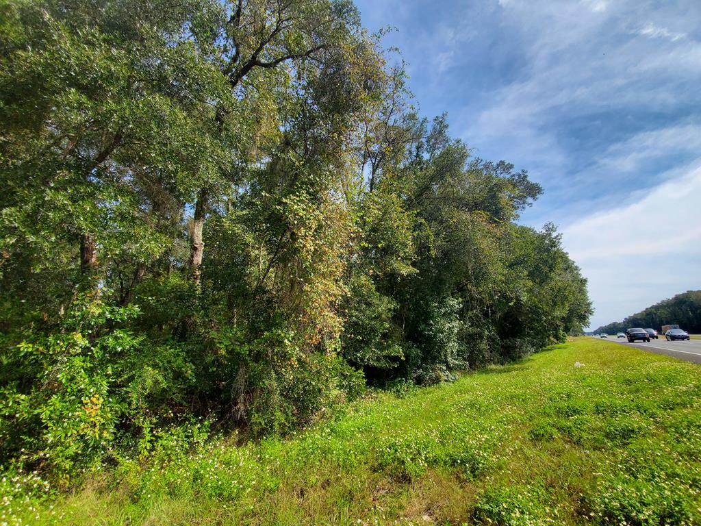 Lot 4&5 Us Hwy 19 - Photo 1