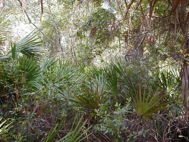 County Road 351 - Photo 1