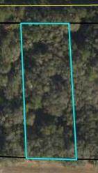 Lot 12 Hwy 19 - Photo 1