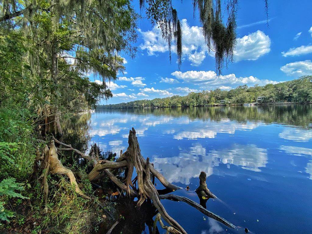 0000 Hwy 351-U - Photo 1