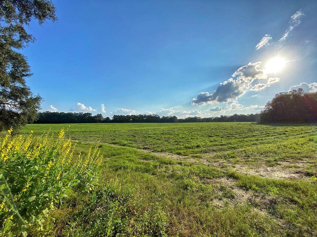 14276 171 Place - Photo 1