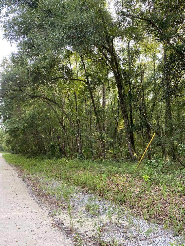 Ne 355th Ave - Photo 1