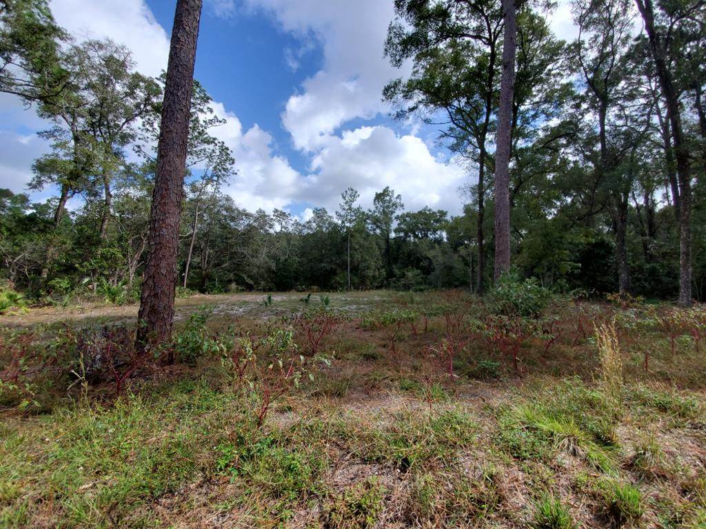 70th Circle - Photo 1