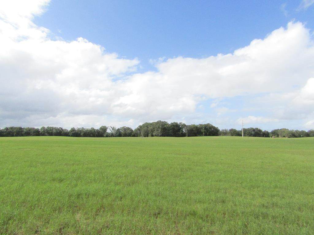 Lot 5 31st Ave - Photo 1