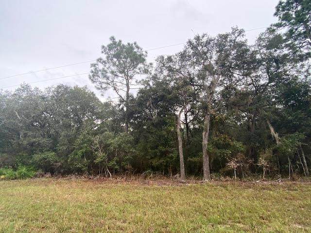 Lot 10 110th Street - Photo 1