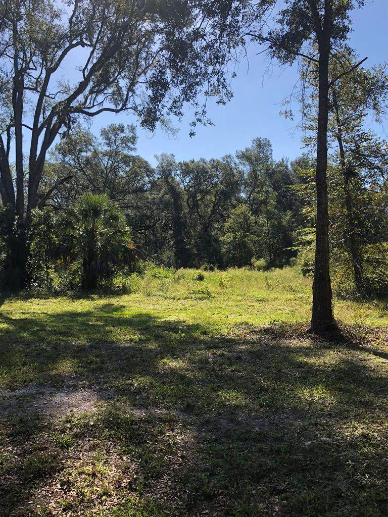 Lot 8 497th Street - Photo 1