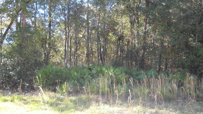 Lot 39 902nd Street - Photo 1