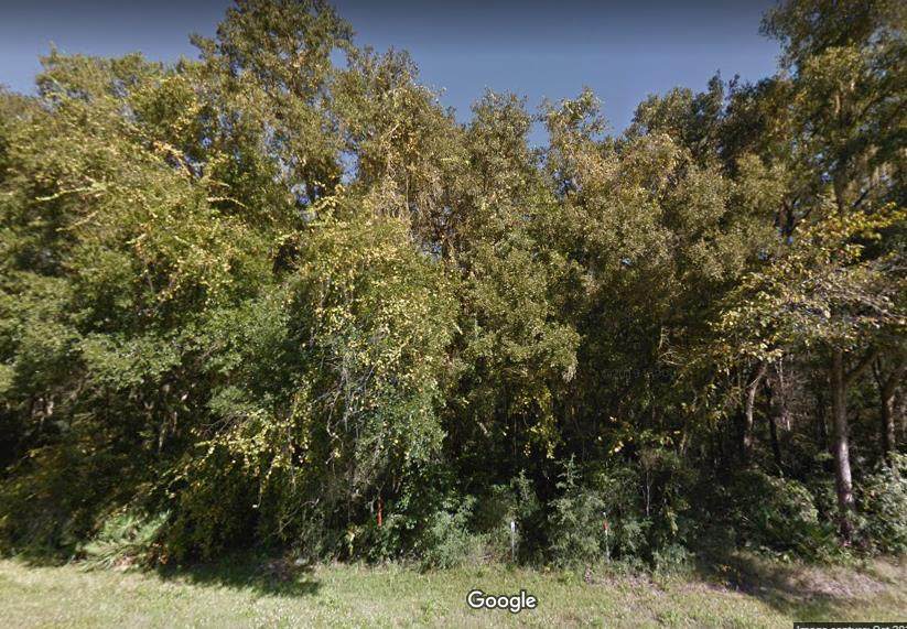 Lot 7 Hwy 19 - Photo 1