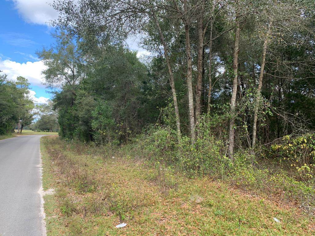 Lot 5 Roosevelt Cir - Photo 1