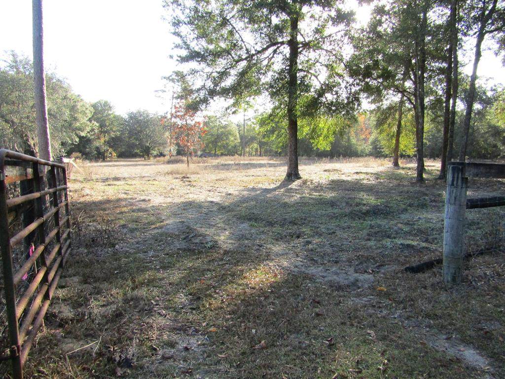 00 101st Street - Photo 1