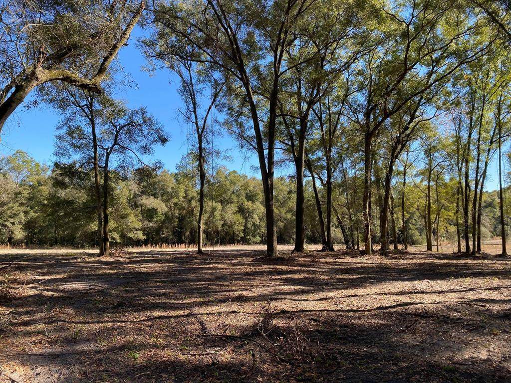 Lot 2 20 St - Photo 1