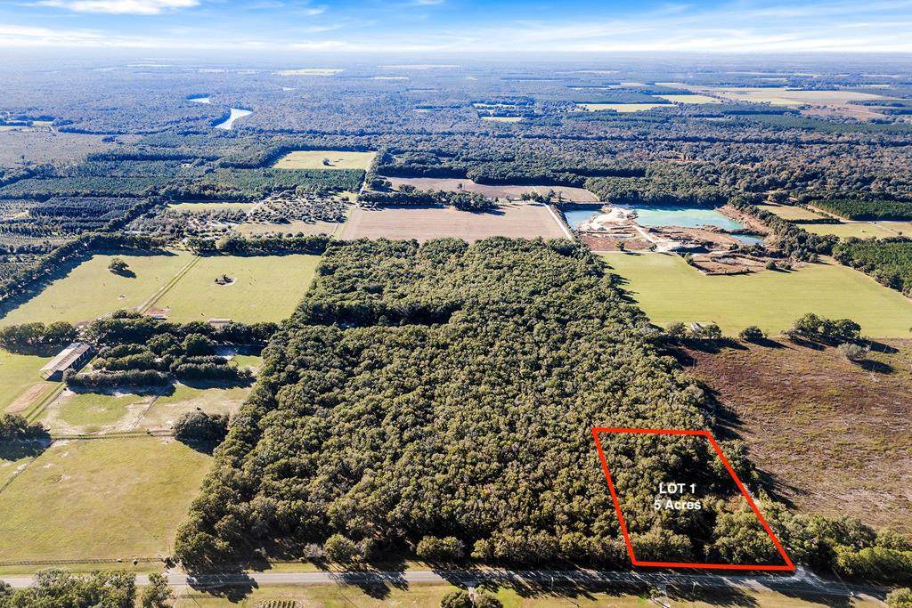 Lot 1 Us Hwy 129 - Photo 1