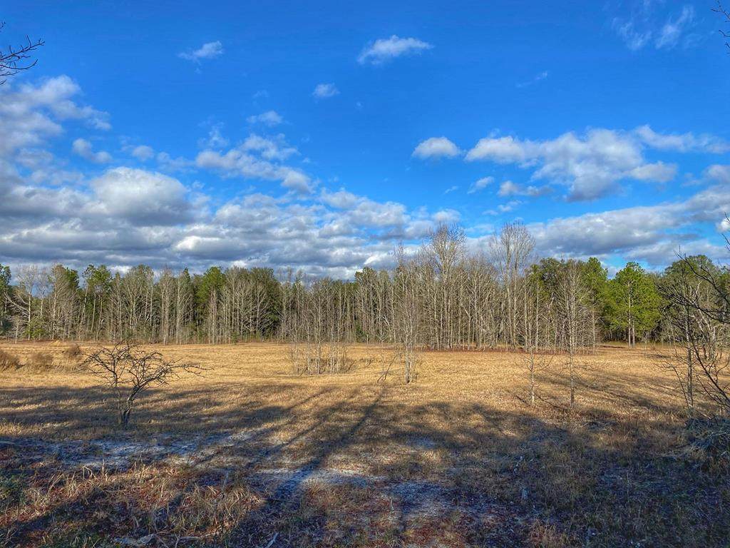 00 18th Trail - Photo 1