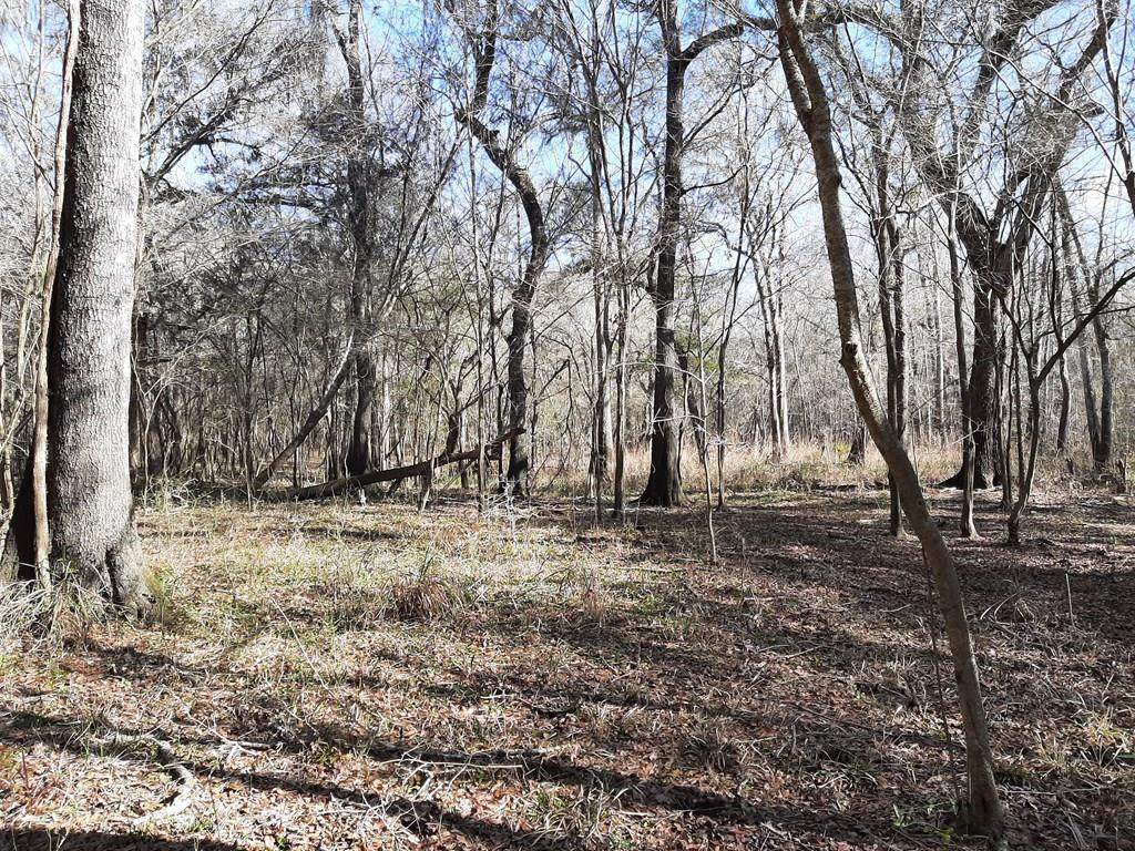 TBD 816 Access Rd - Photo 1