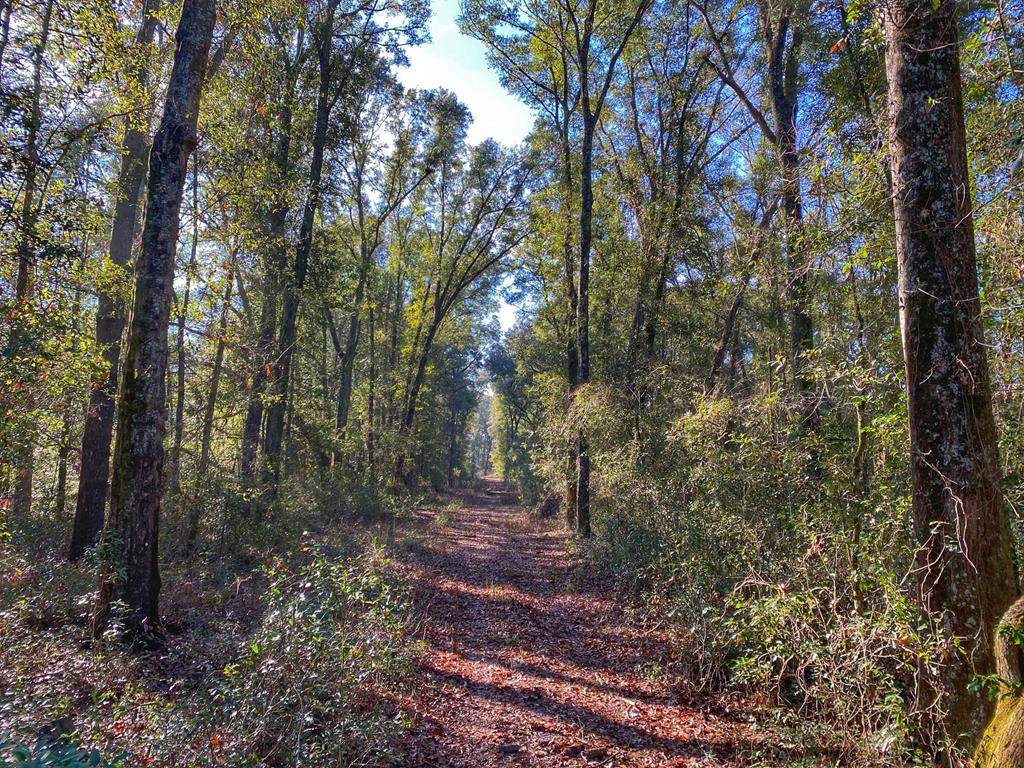 00 145 Road - Photo 1