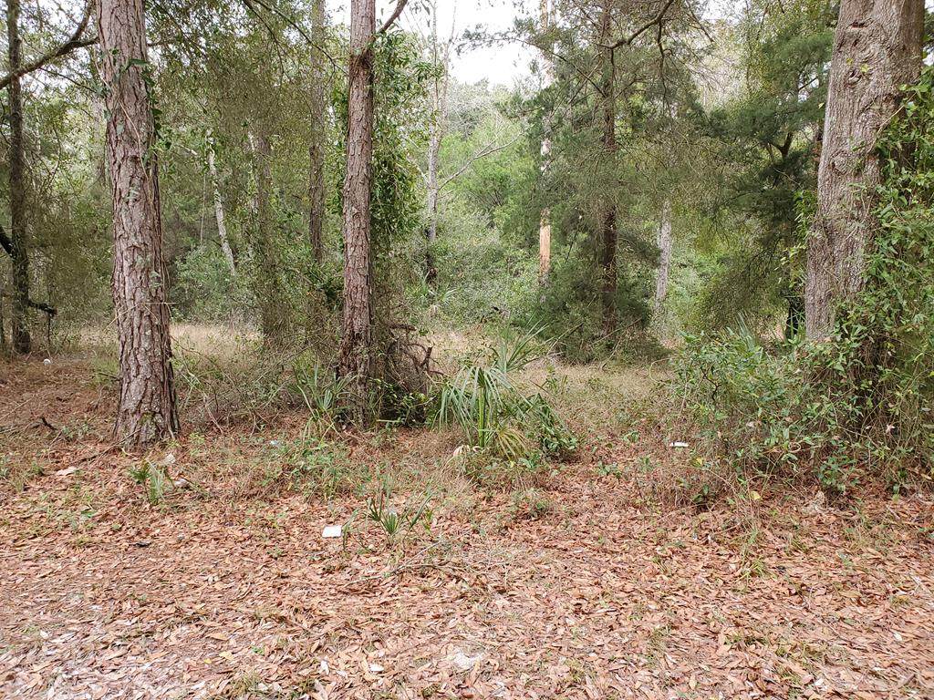 Lot 1 Main St - Photo 1