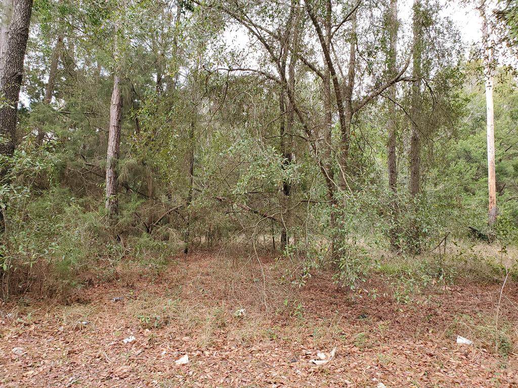 Lot 2 Main St - Photo 1