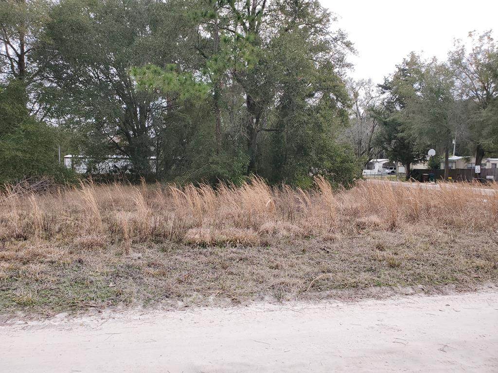 Lot 4 Main St - Photo 1