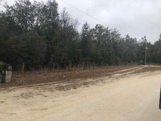 73rd Way - Photo 1