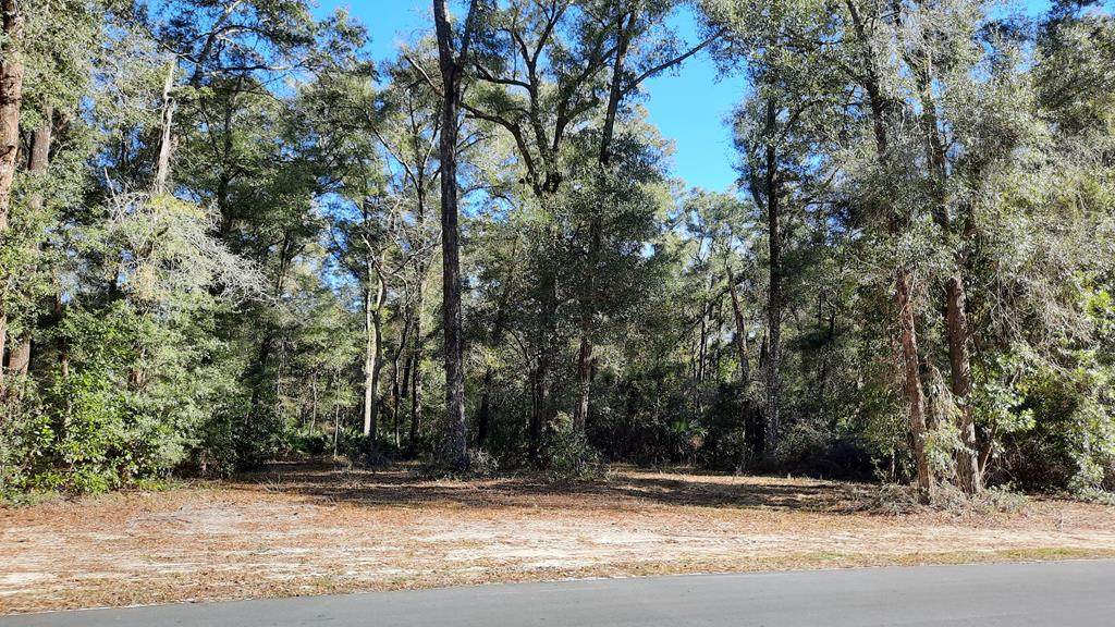 9280 Emily Dr - Photo 1