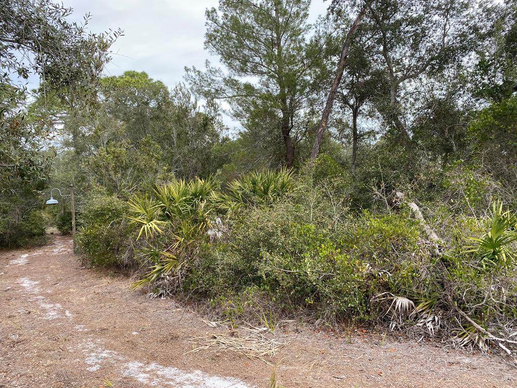 12270 Anchor Cove Drive - Photo 1
