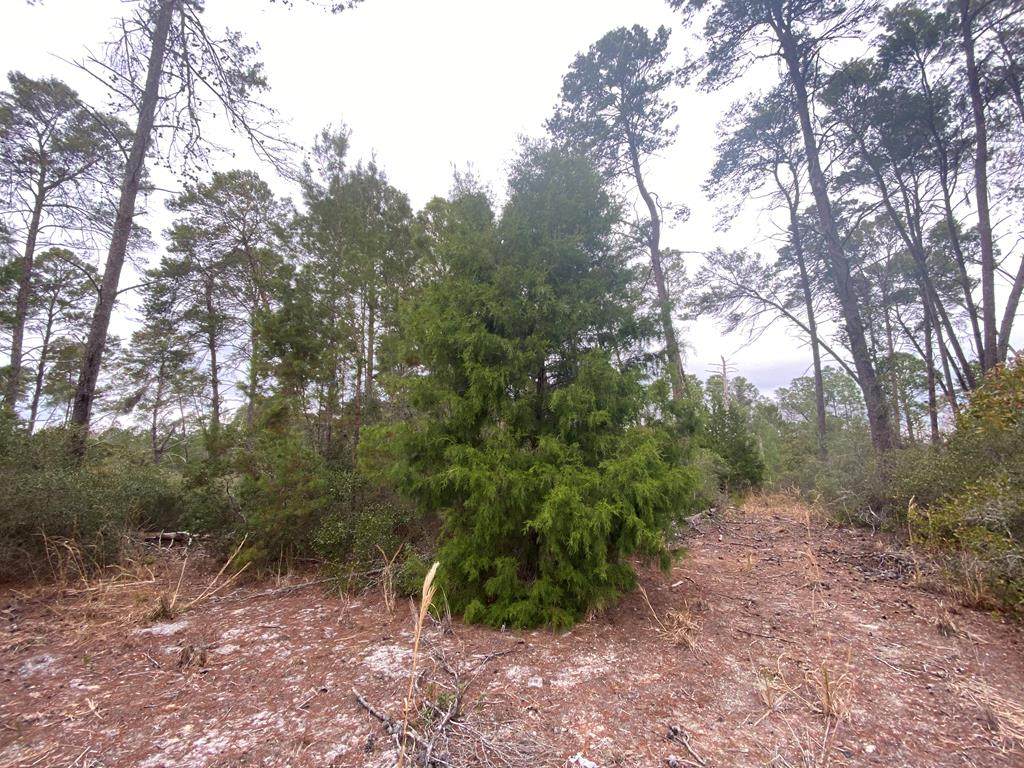 129th Avenue - Photo 1