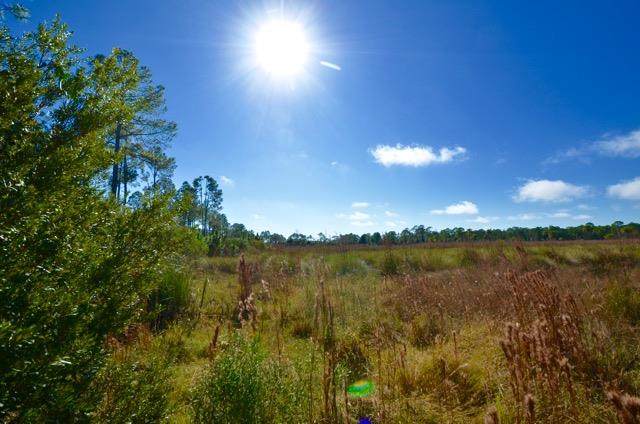 Lot61&62 101st Ln - Photo 1