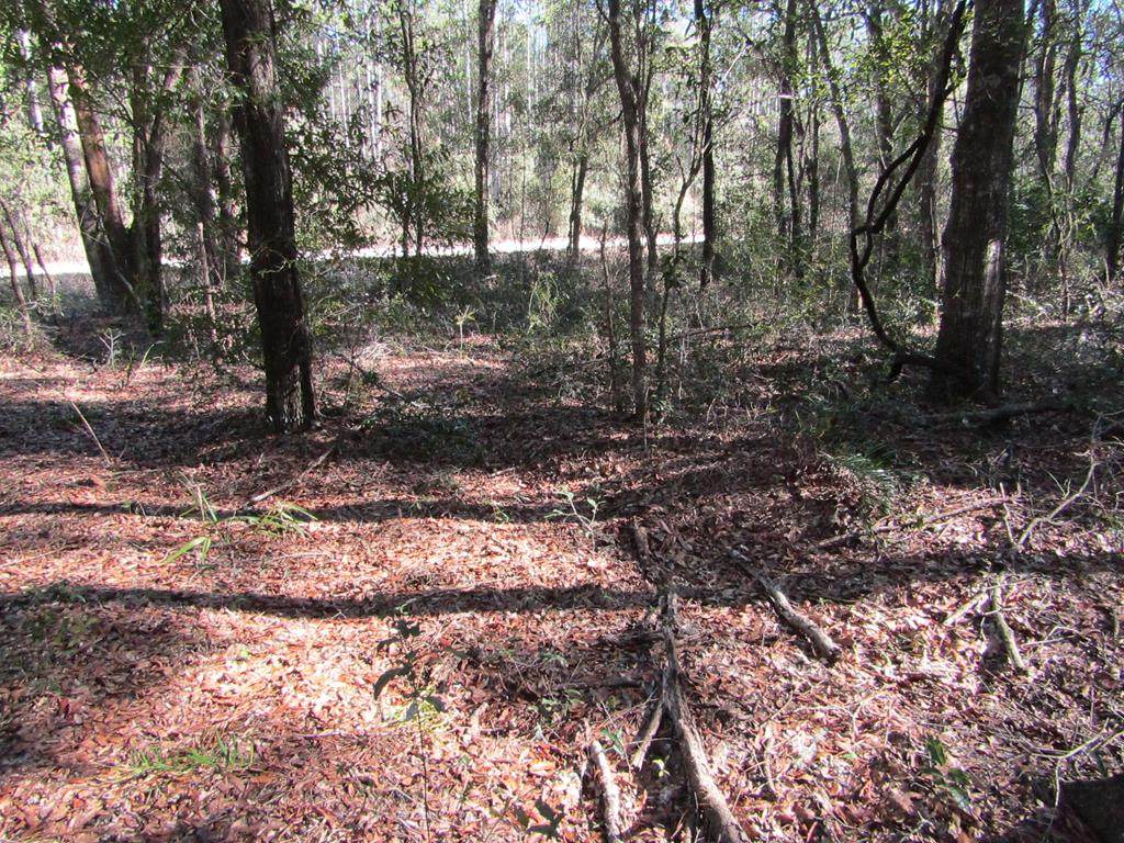 Lot 17 10th St - Photo 1