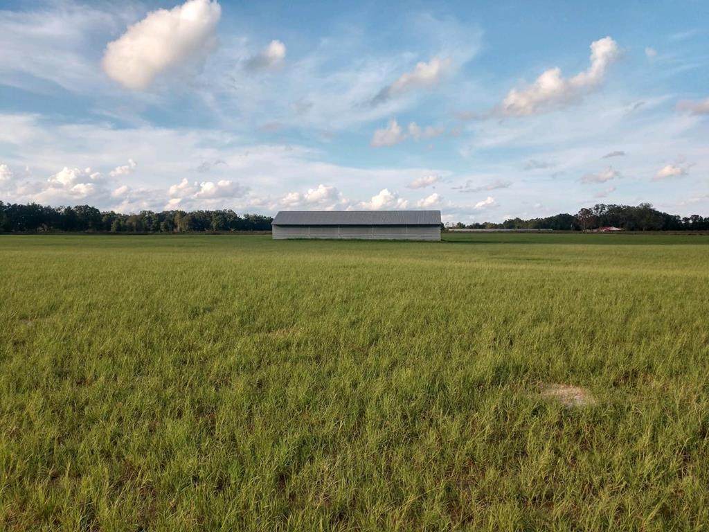 TBD Us Hwy 27 - Photo 1