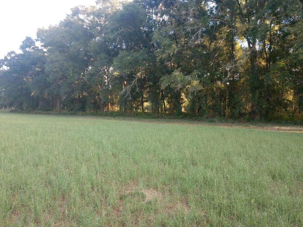 TBD 41st Rd - Photo 1