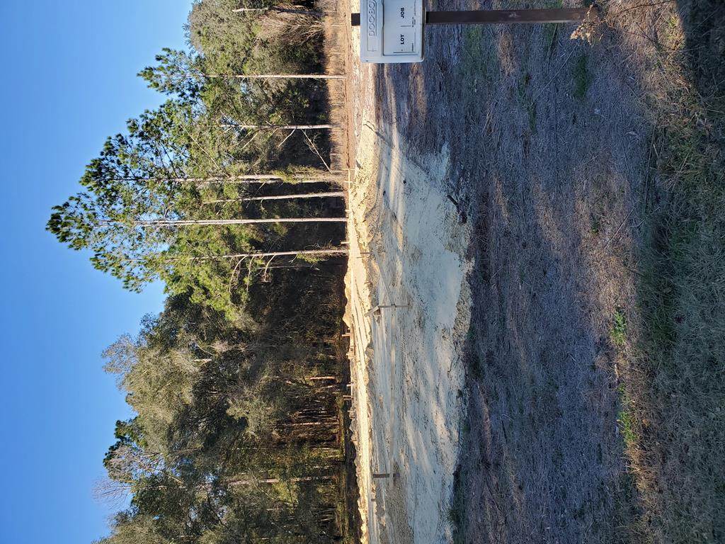 669 Stephens Street - Photo 1