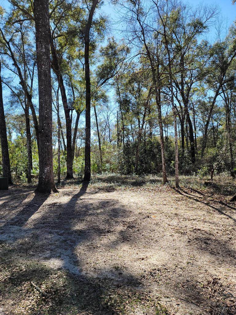 Lot 28 Katherine Way - Photo 1