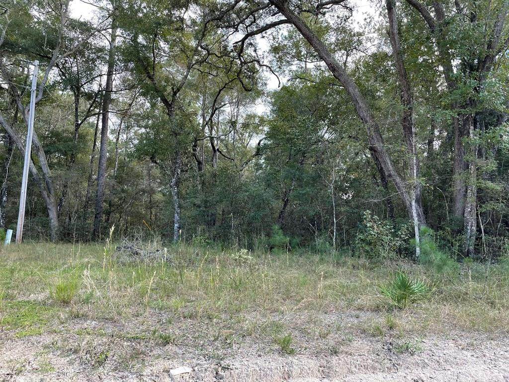 TBD Nw 70th Way - Photo 1