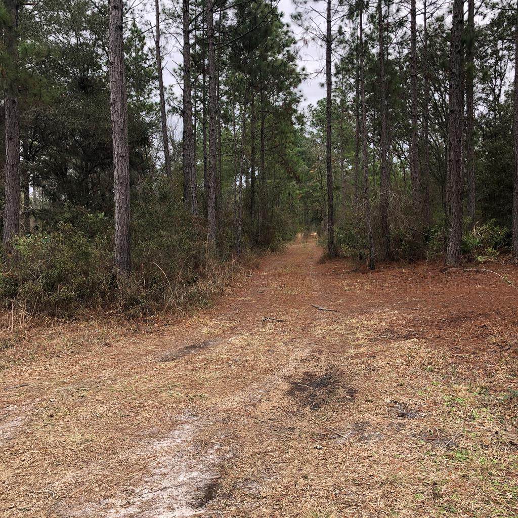 Lot 7&8 Doe Haven Cir/Se Quail Run - Photo 1
