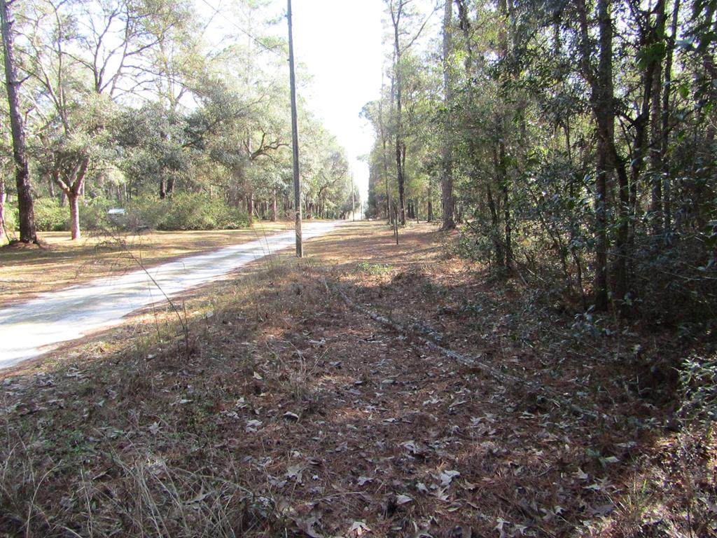 Lot 12 170th Street - Photo 1