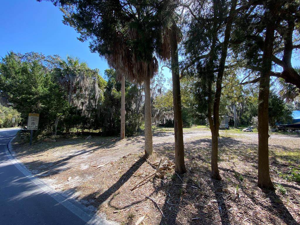 Whiddon Avenue - Photo 1