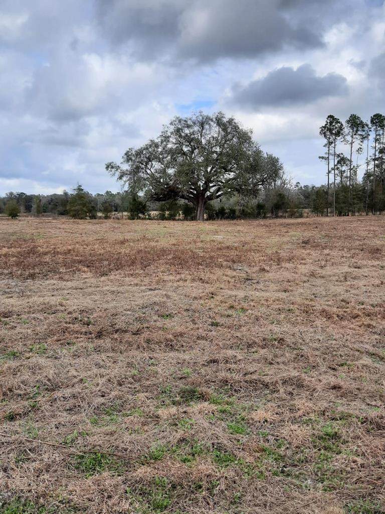 0000 County Road 339 - Photo 1