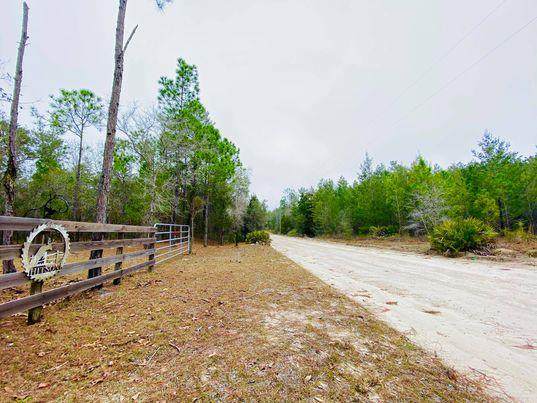 880 Whitetail Dr - Photo 1